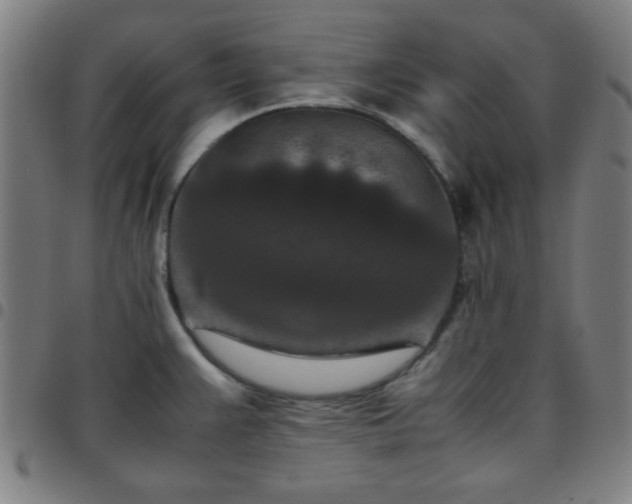X0000097661383200803071522
