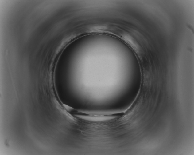 X0000097661384200803071522
