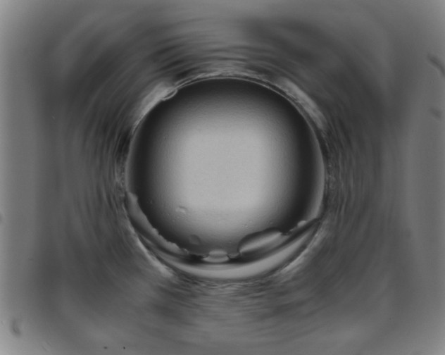 X0000097661385200803071522
