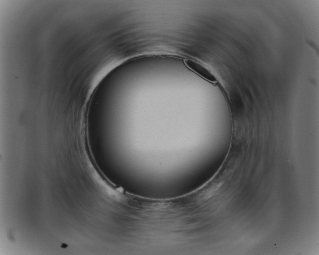 X0000097661387200803071522