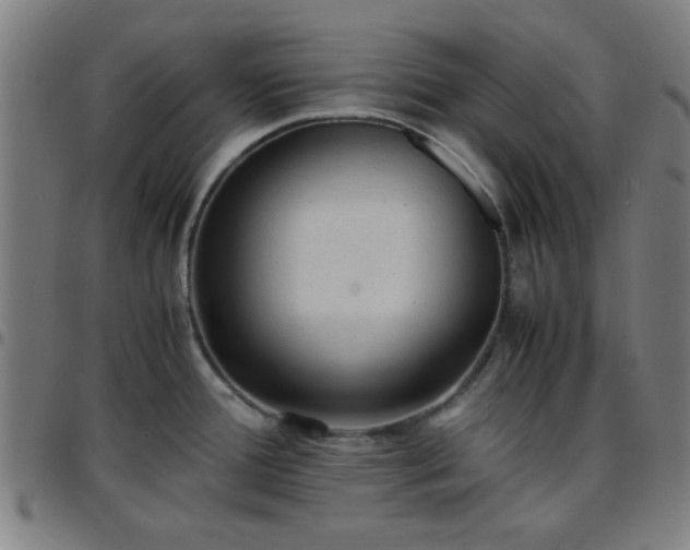 X0000097661388200803071522