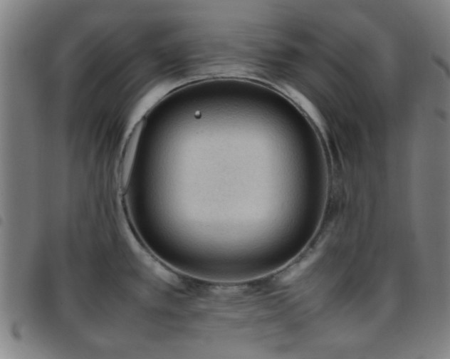 X0000097661389200803071522
