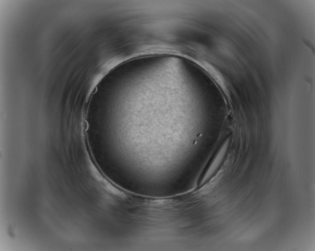 X0000097661390200803071522