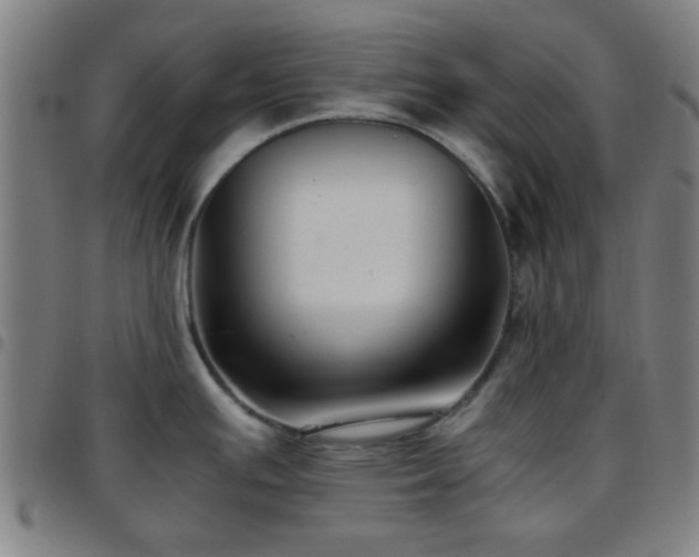 X0000097661391200803071522