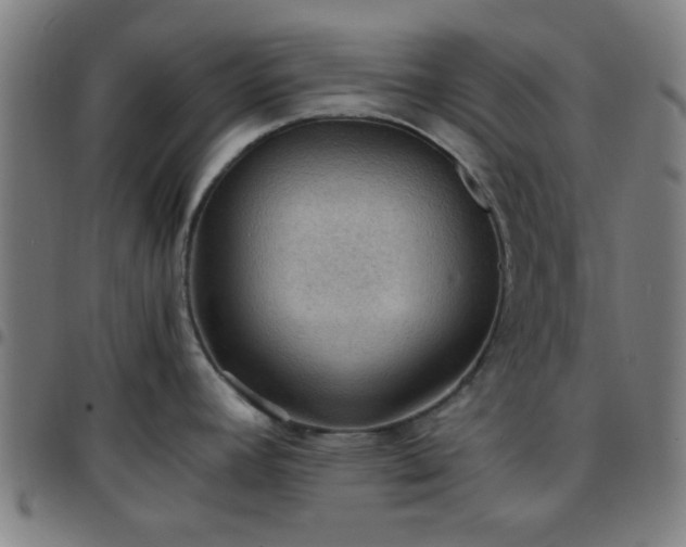 X0000097661392200803071522