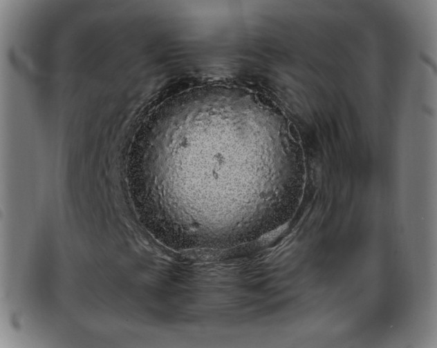 X0000097661393200803071521