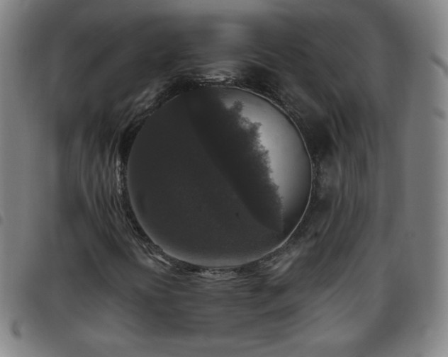 X0000097661394200803071521