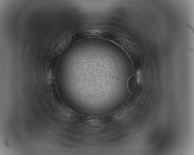 X0000097661395200803071521