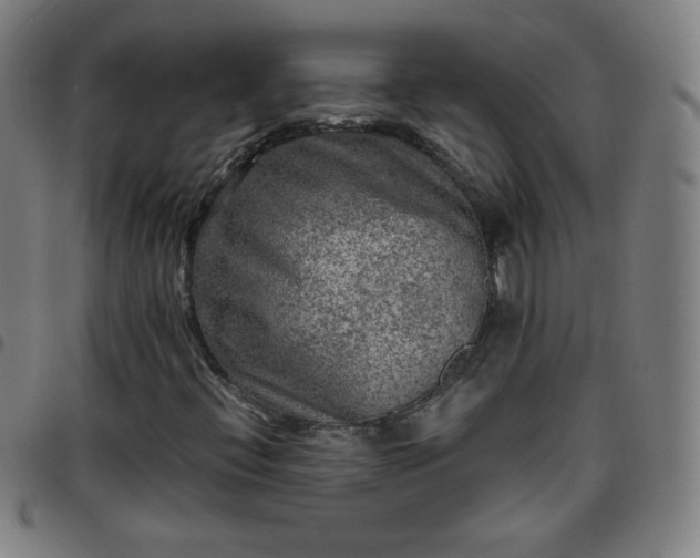 X0000097661396200803071521