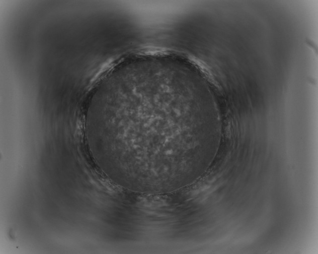 X0000097661397200803071521