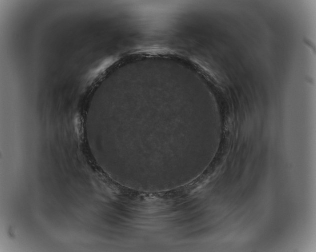 X0000097661398200803071521