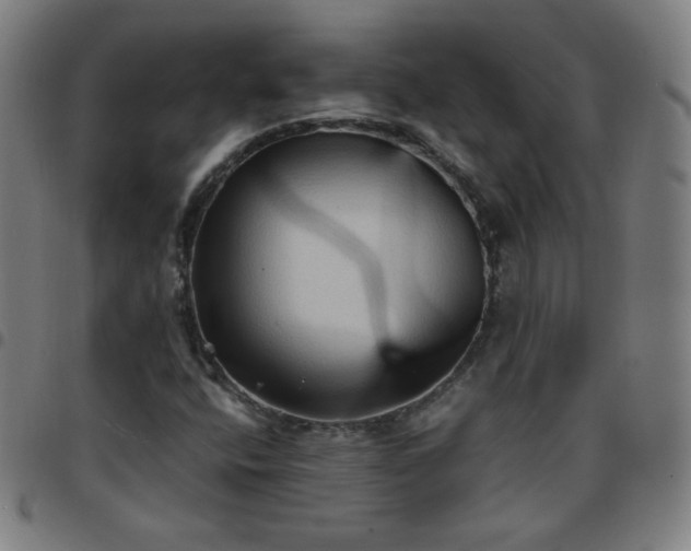 X0000097661400200803071521