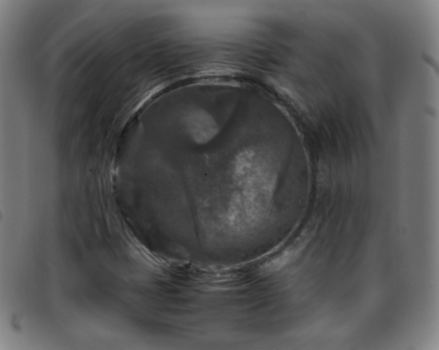X0000097661401200803071521