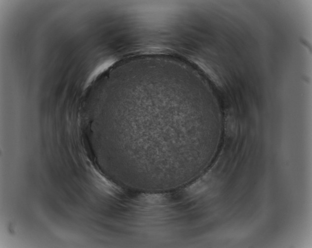 X0000097661402200803071521