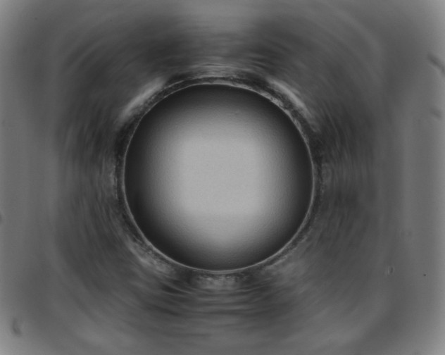 X0000097661403200803071522