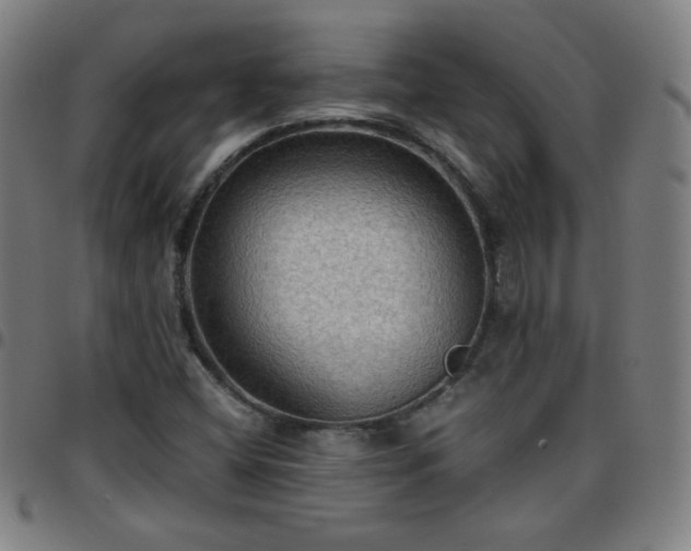 X0000097661404200803071522