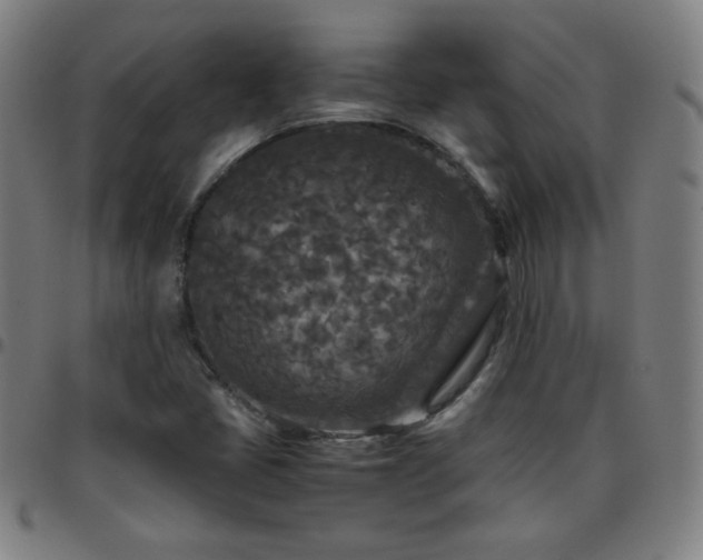 X0000097661405200803071522