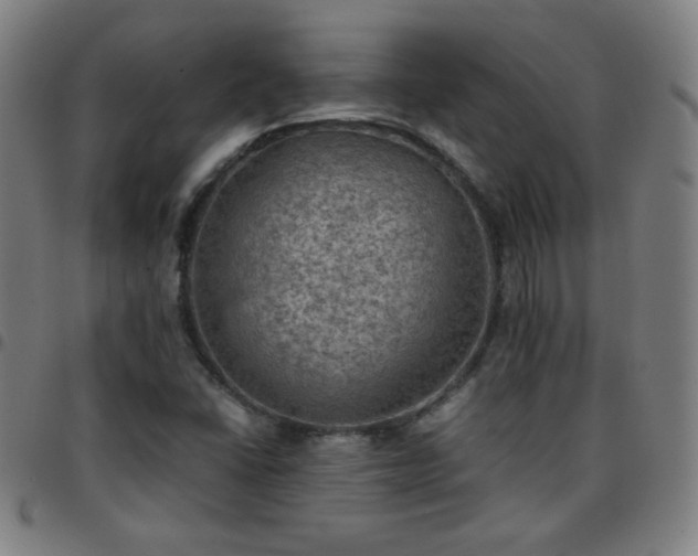 X0000097661406200803071522