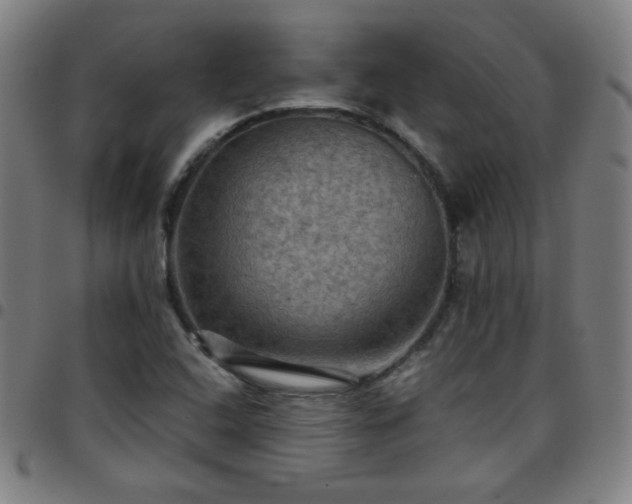 X0000097661408200803071522