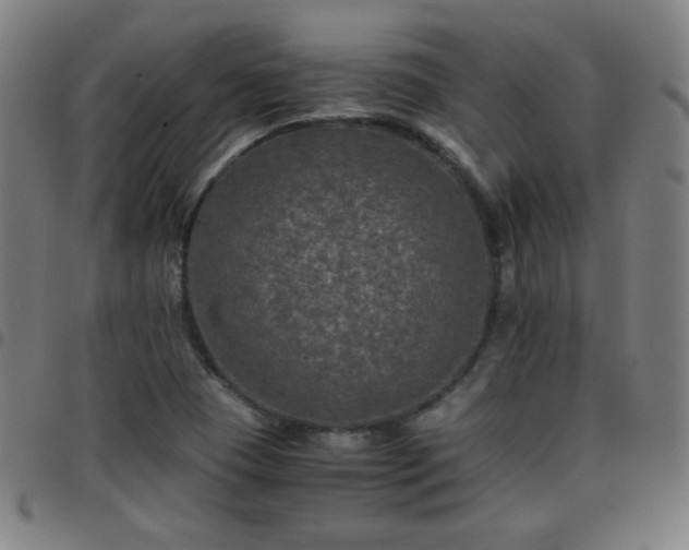 X0000097661409200803071522