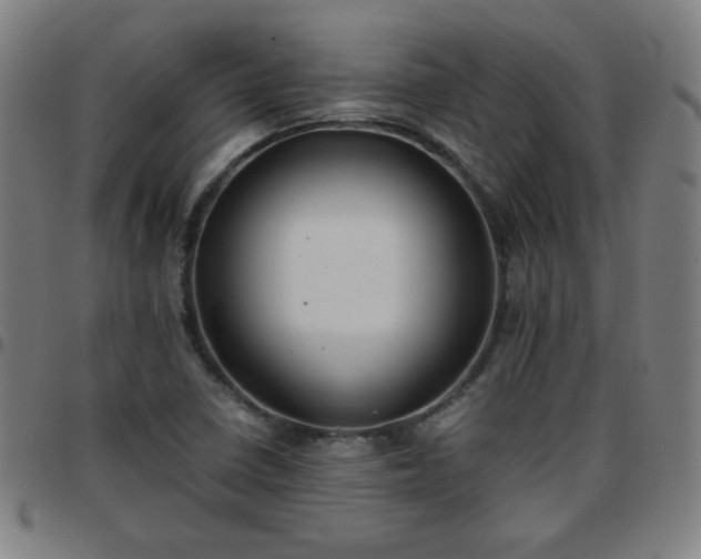 X0000097661410200803071522