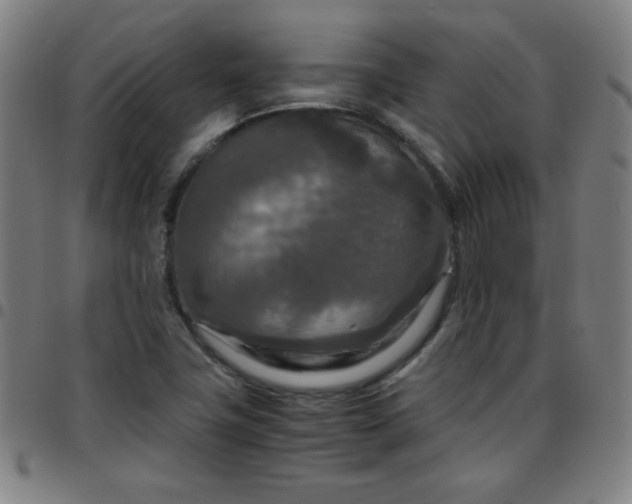 X0000097661411200803071522