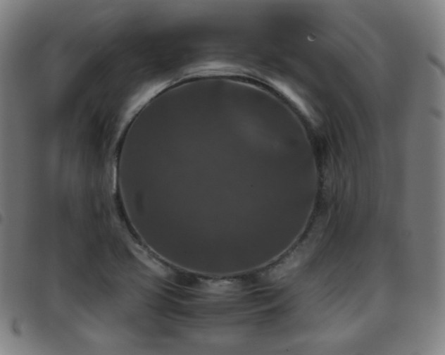 X0000097661413200803071522