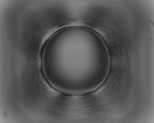 X0000097661414200803071522