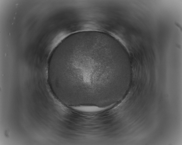 X0000097661415200803071522