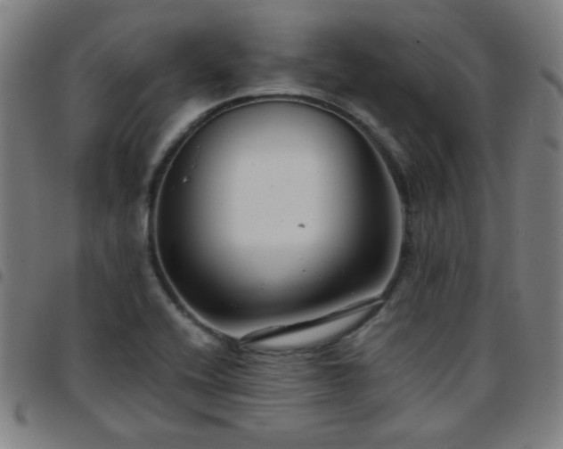 X0000097661416200803071522