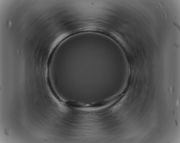 X0000097661418200803071522