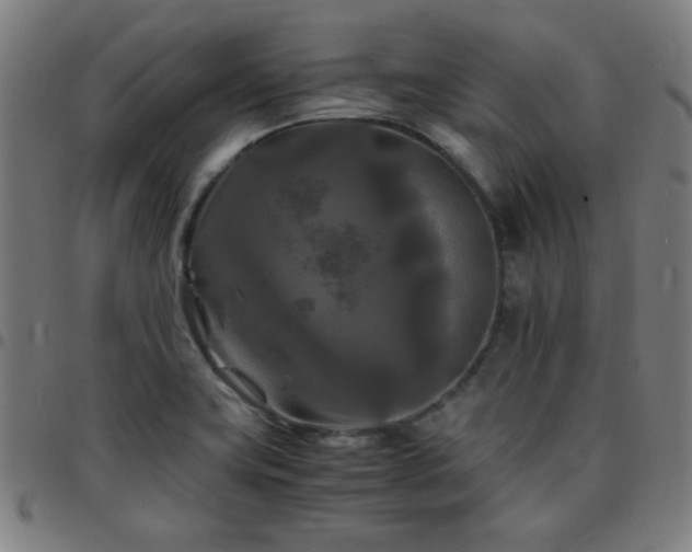 X0000097661419200803071522