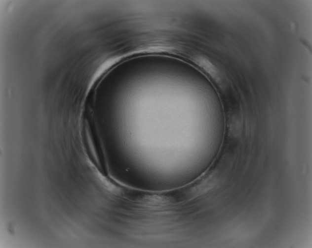 X0000097661420200803071522