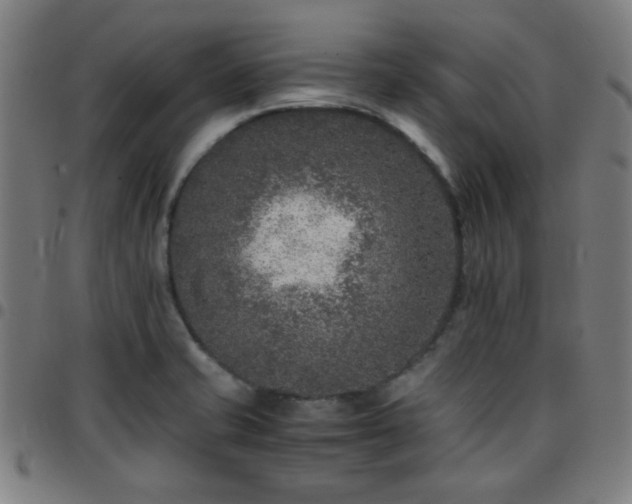 X0000097661421200803071522