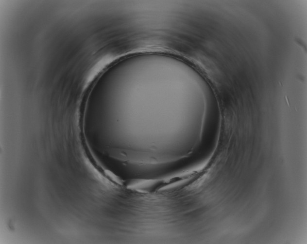 X0000097661422200803071522