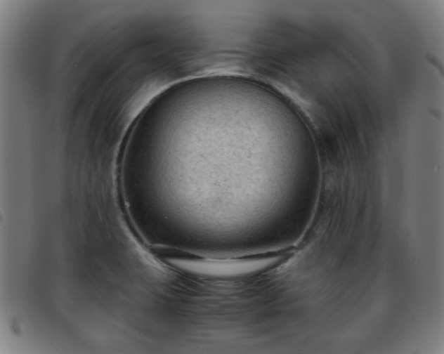 X0000097661423200803071522