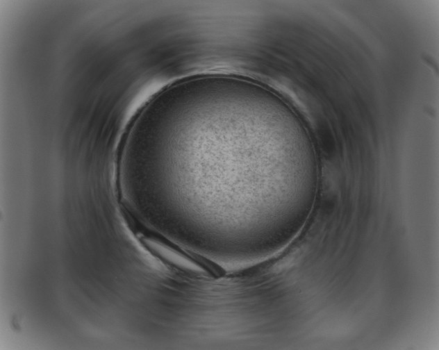 X0000097661424200803071522