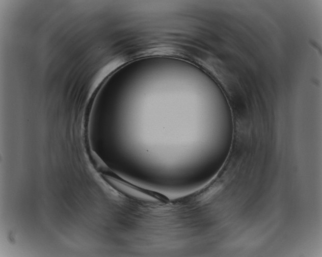 X0000097661426200803071522