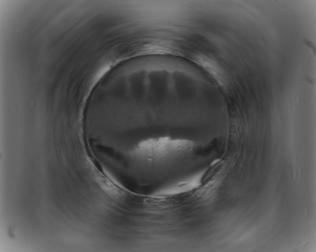 X0000097661427200803071522