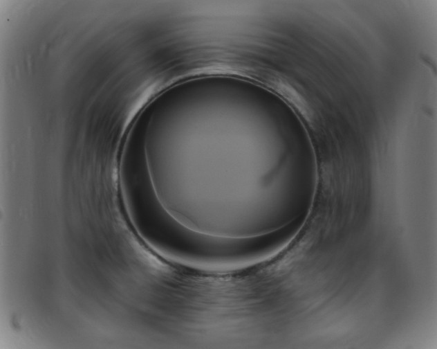 X0000097661428200803071522