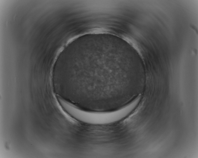 X0000097661429200803071522