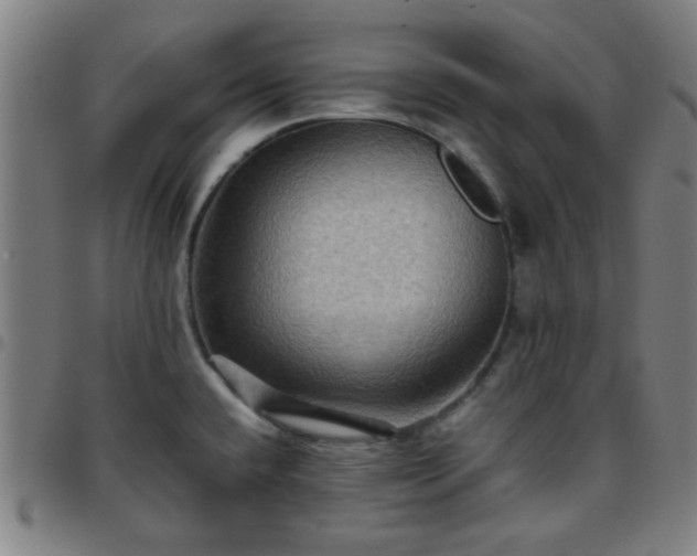 X0000097661432200803071522