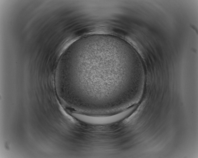 X0000097661433200803071522
