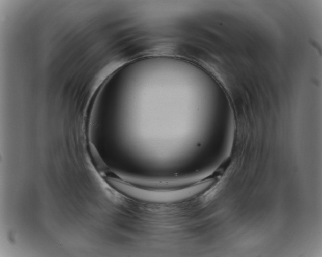 X0000097661434200803071522