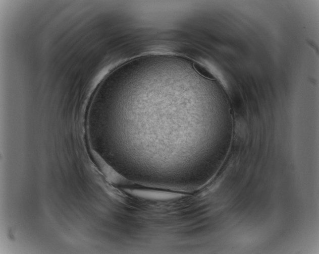 X0000097661435200803071522