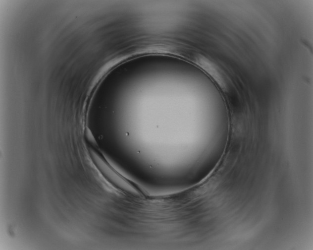 X0000097661436200803071522