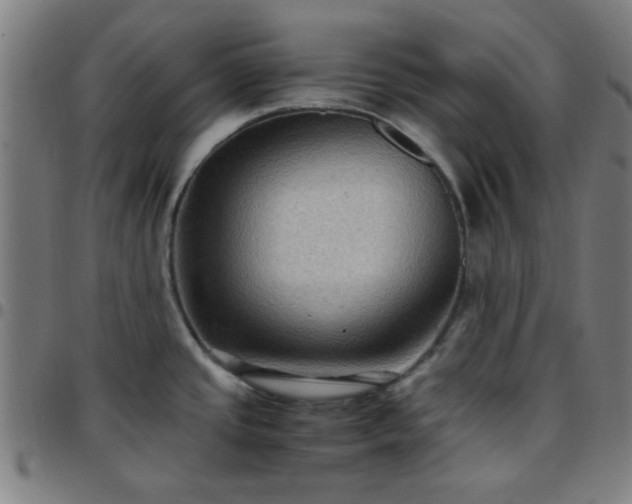 X0000097661437200803071522