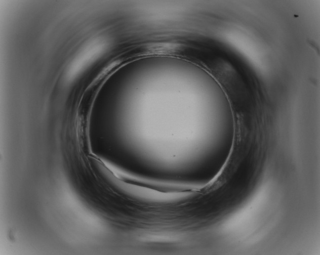 X0000097661438200803071522