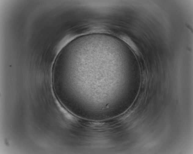 X0000097661439200803071522