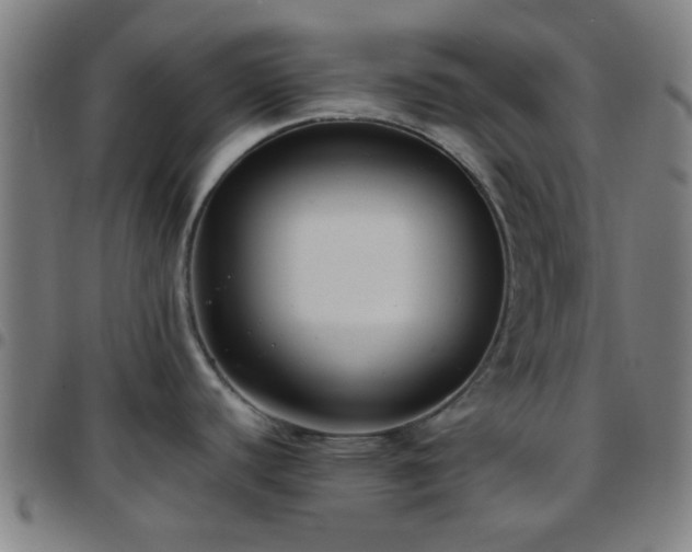 X0000097661440200803071522